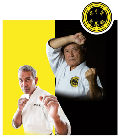 Karate ShorinRyu